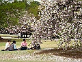 IMG_2855