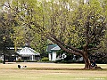 IMG_2856