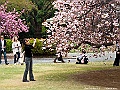 IMG_2874