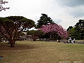 IMG_2876