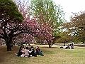 IMG_2880
