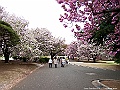 IMG_2882