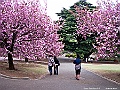 IMG_2885