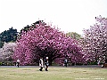 IMG_2890