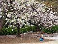 IMG_2893