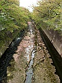 IMG_2928
