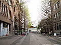 IMG_2936