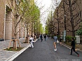 IMG_2939