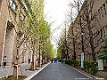 IMG_2940