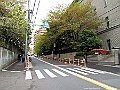 IMG_2945