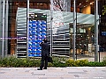 IMG_2956