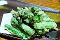 hokkaido028