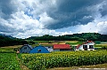 hokkaido048