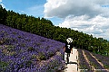 hokkaido053