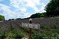 hokkaido056