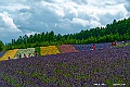 hokkaido057
