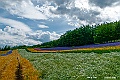 hokkaido058