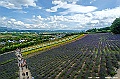 hokkaido059
