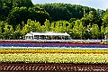 hokkaido066