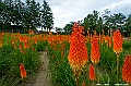 hokkaido071