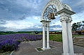 hokkaido083