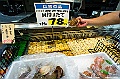 hokkaido088