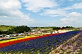 hokkaido118
