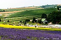 hokkaido119