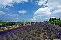 hokkaido121