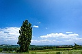 hokkaido130