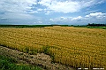 hokkaido138