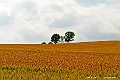 hokkaido141
