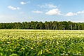 hokkaido149