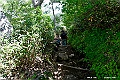 hokkaido183