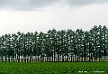 hokkaido202