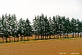 hokkaido204