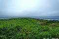 hokkaido241