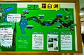 hokkaido257