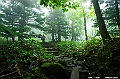 hokkaido272