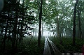hokkaido273