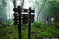 hokkaido276