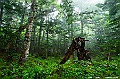 hokkaido281