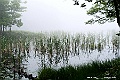 hokkaido285