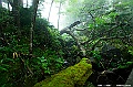 hokkaido288