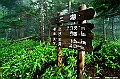 hokkaido289