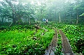 hokkaido290
