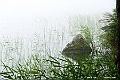 hokkaido291