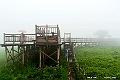 hokkaido293