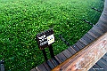 hokkaido295