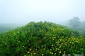 hokkaido299